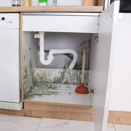 Kitchen Cabinet,Fort Myers Fl